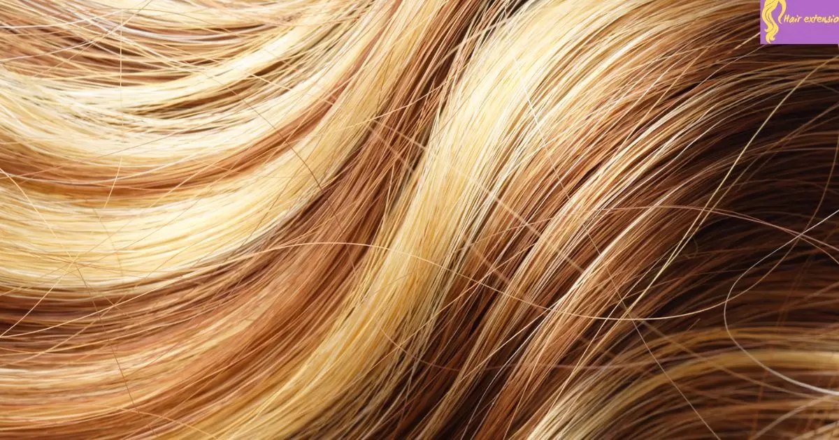 Hair Texture